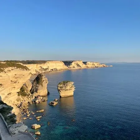 Vivez - Historique *