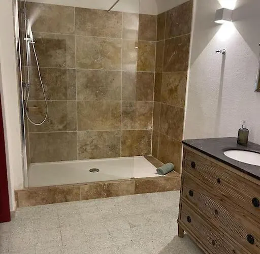 Vivez - Historique בוניפסיו