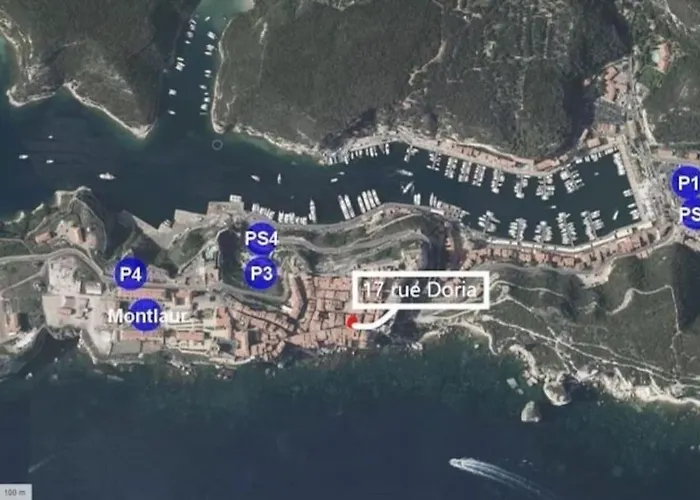 Vivez - Historique בוניפסיו