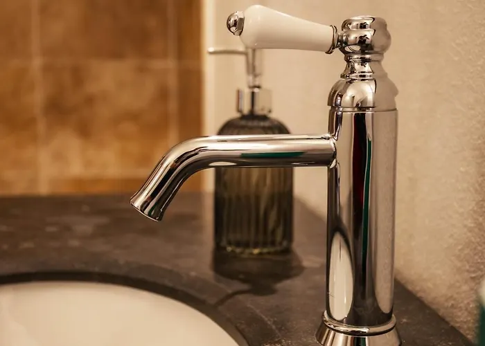 Vivez - Historique דירה בוניפסיו