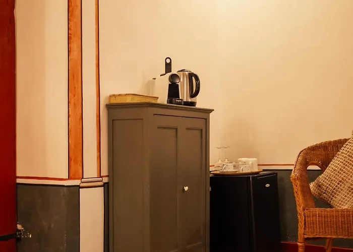 Vivez - Historique בוניפסיו